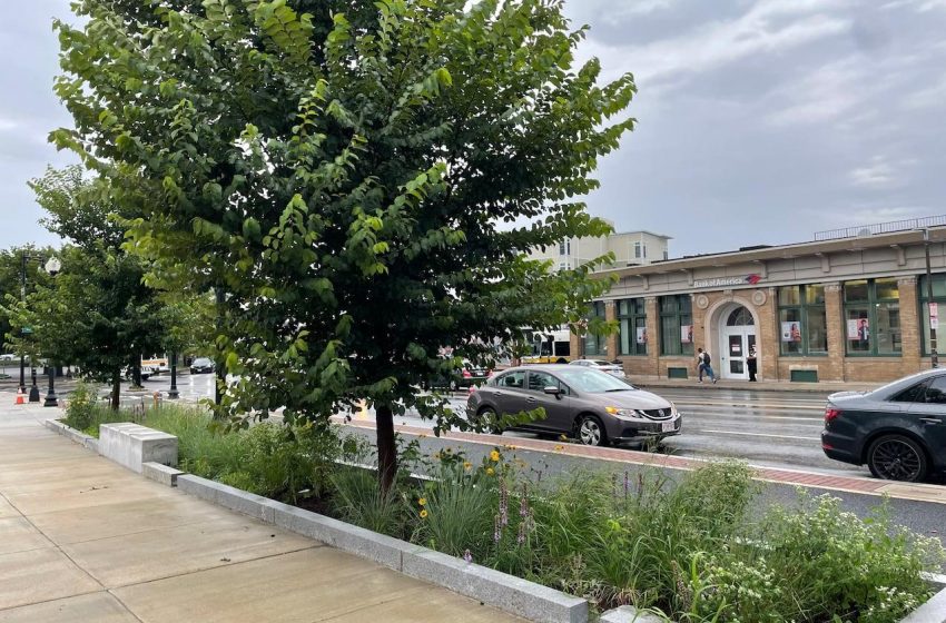Boston substitui grama de beira de estrada por infraestrutura verde.