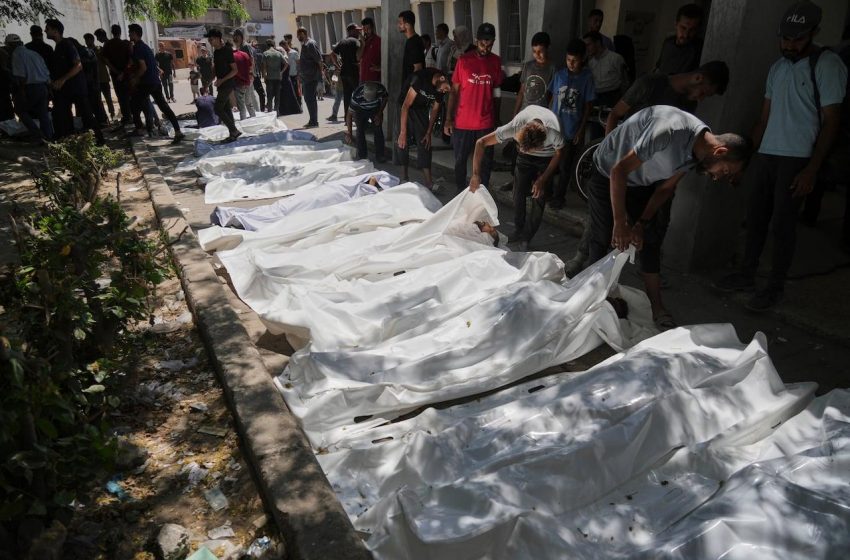  73 palestinos perdem vidas buscando ajuda humanitária essencial.