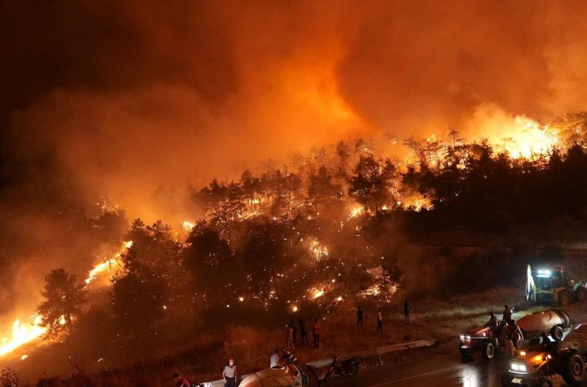 Incêndios florestais devastam Europa e Balcãs neste verão.
