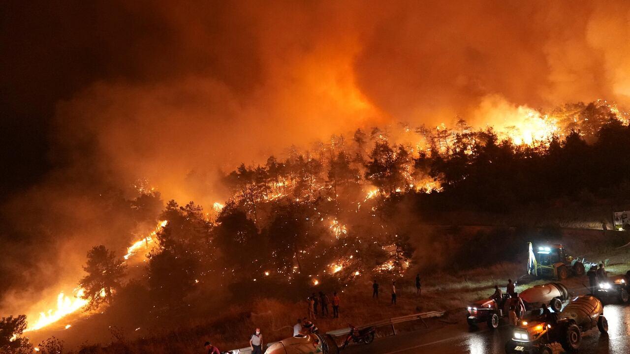 Incêndios florestais devastam Europa e Balcãs neste verão.