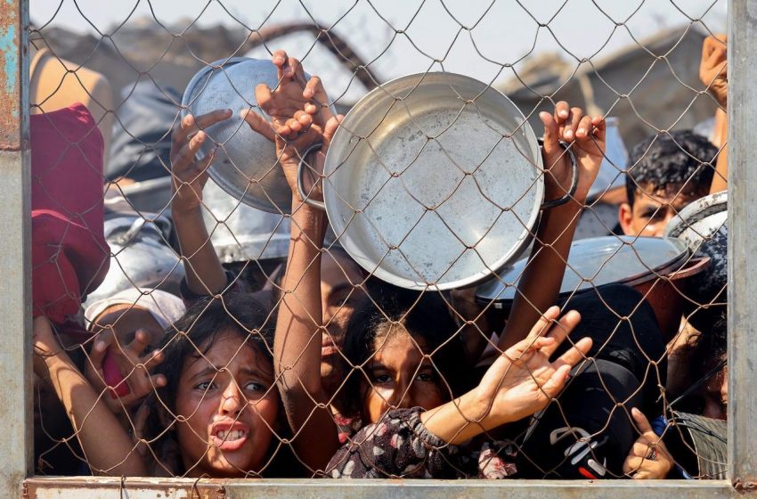 Mais de 100 grupos de ajuda pedem cessar-fogo em Gaza.
