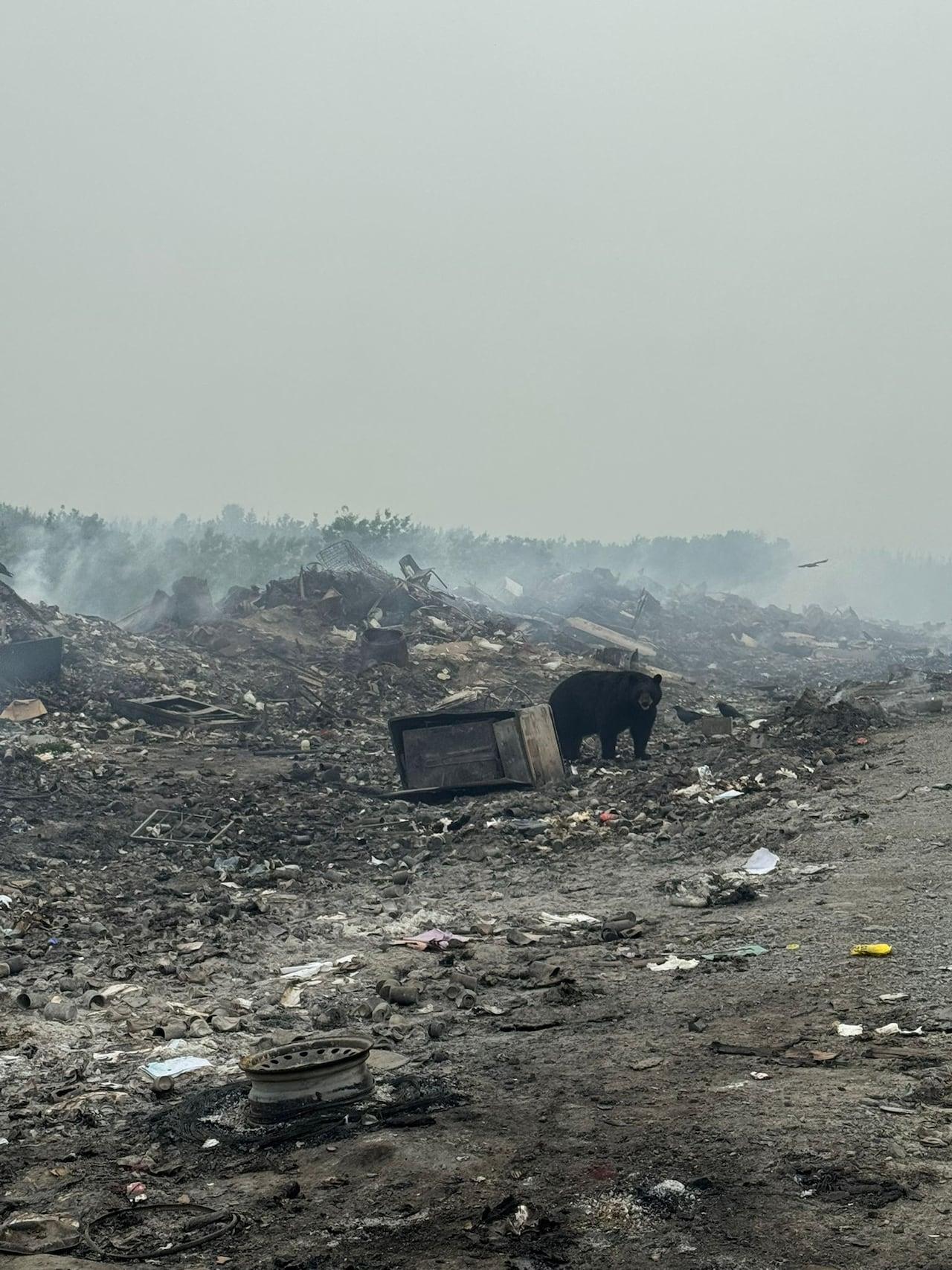 Três comunidades do Lago Islanddeclaram emergência por incêndios em Manitoba.