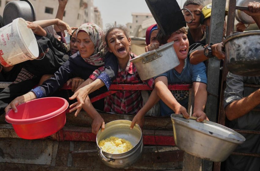 Alerta de fome emitido para Gaza pela ONU.