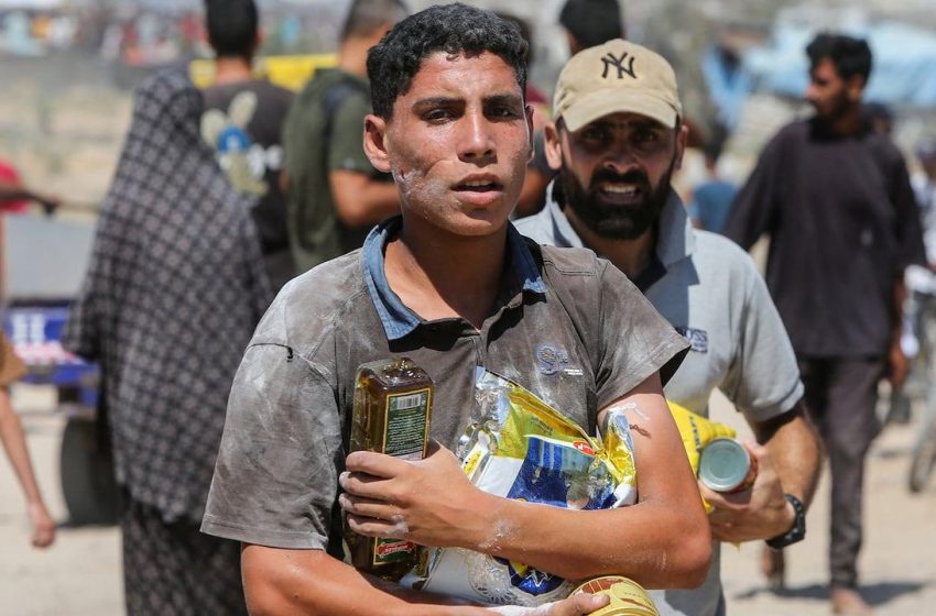  “Buscadores de ajuda em Gaza enfrentam mortes trágicas.”