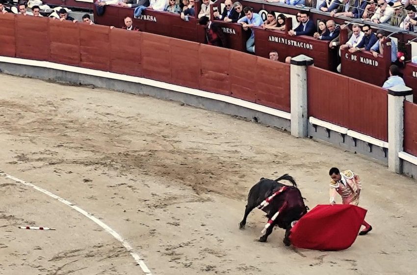 Espanhóis rejeitam cada vez mais a tourada: tradição em queda?