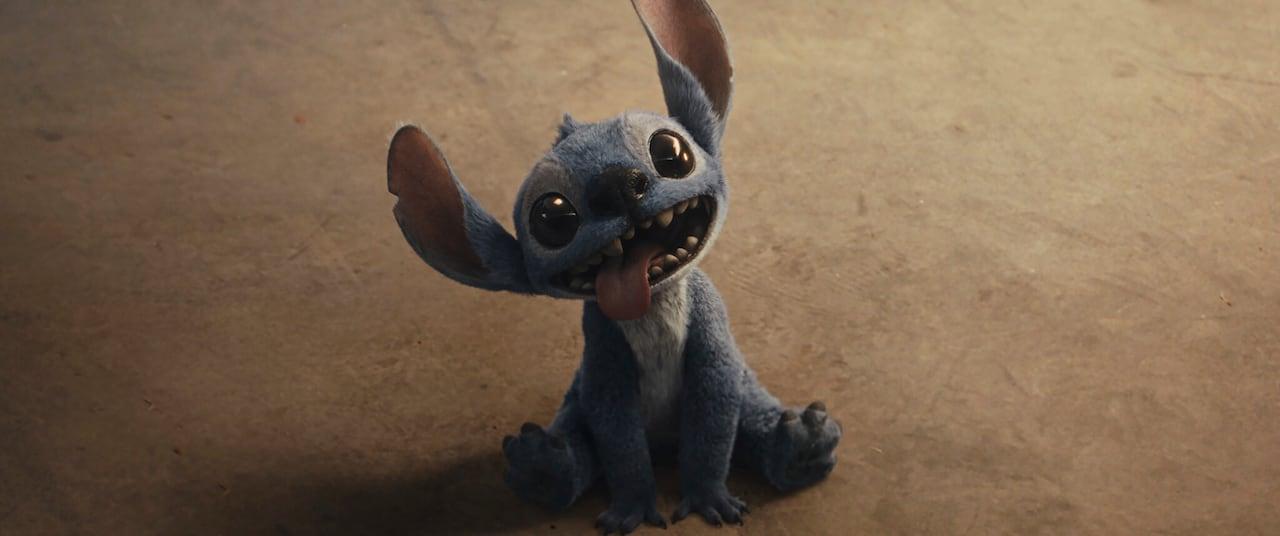 O Ciclo Infinito de Remakes em Hollywood: Uma Análise Profunda