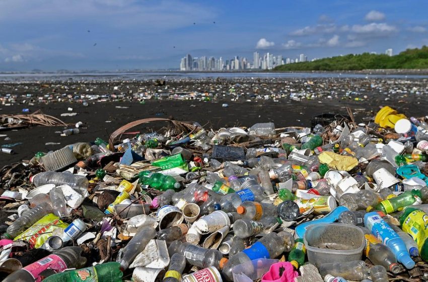 Reunião da ONU em Genebra aborda crise da poluição plástica.