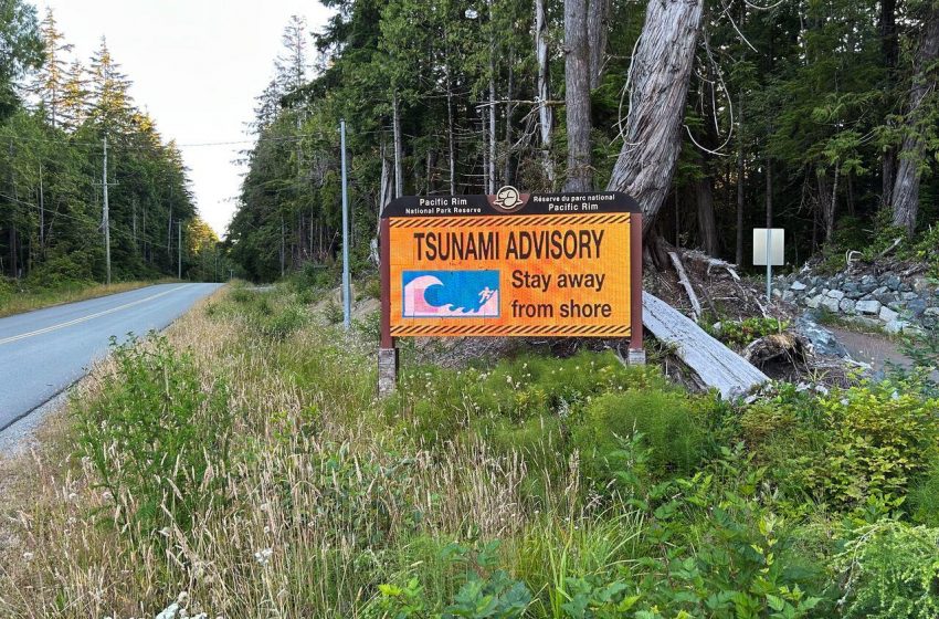 Sistema de alerta de tsunami se mostra eficaz; vigilância é crucial.