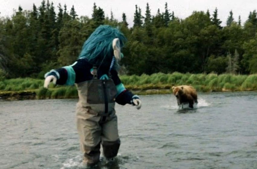 Urso-grizzly ataca mascote do Seattle Kraken: encontro surpreendente!