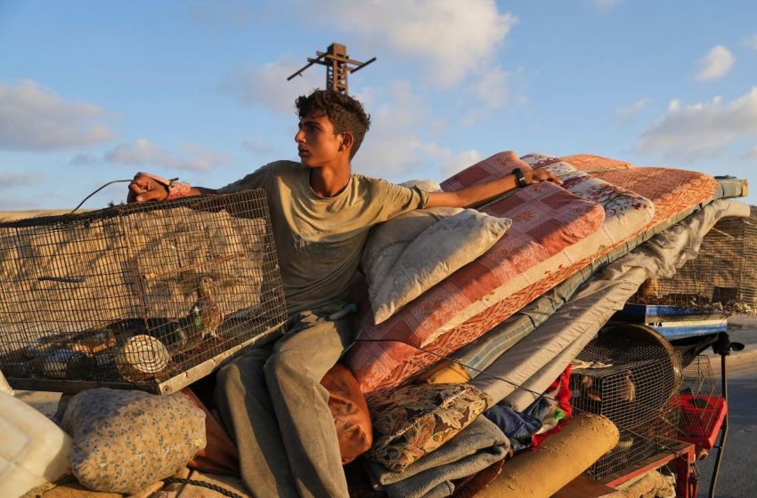  Aumento do deslocamento de palestinos na crise de Gaza.