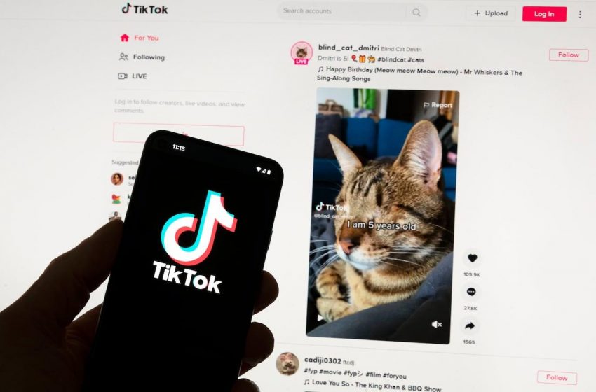 TikTok fecha acordo nos EUA, garante apoio de Trump.